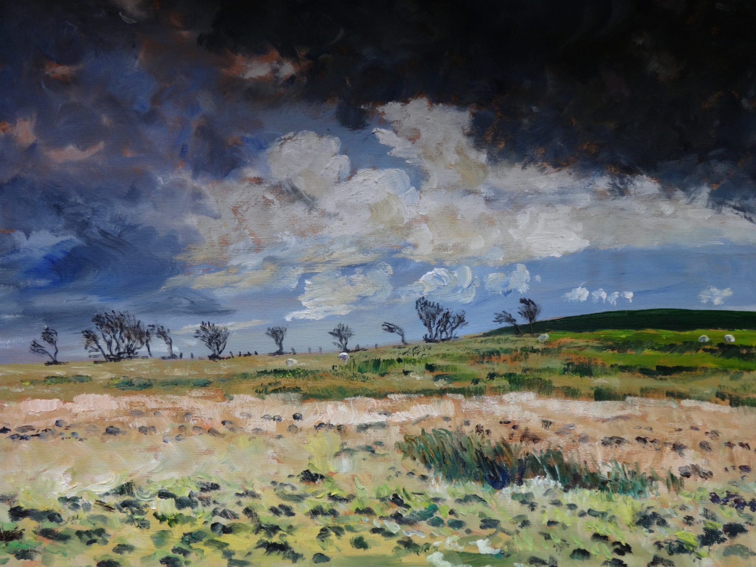 Painting Exmoor: Art Exhibition - Exmoor Events
