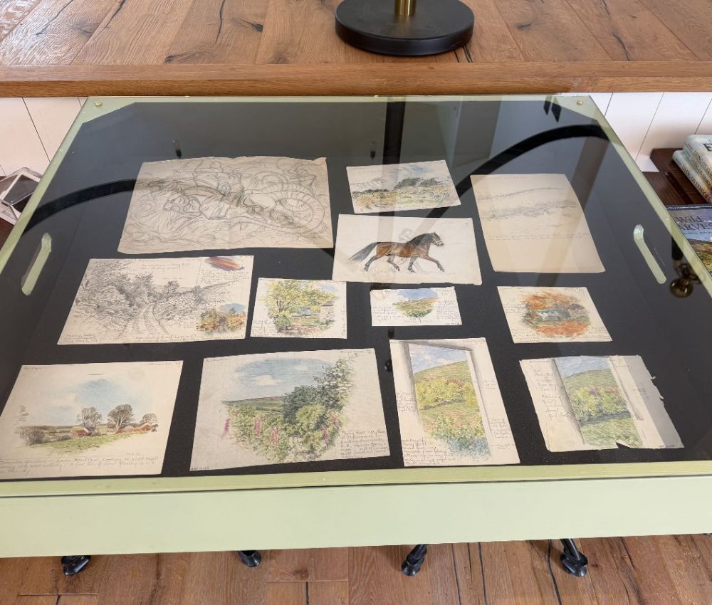 Archive display cases