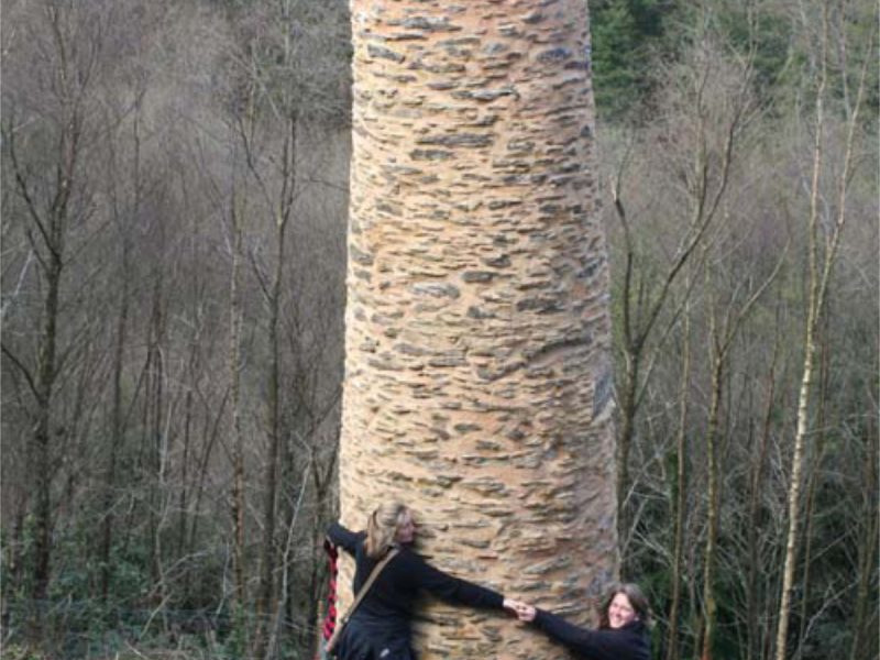 Bearland flue Mineral Line Association