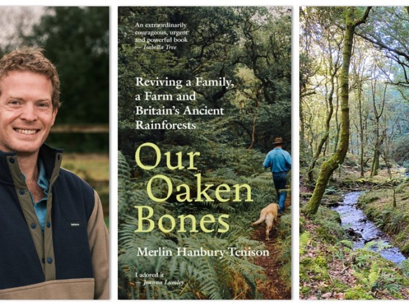 Britains Atlantic Temperate Rainforests