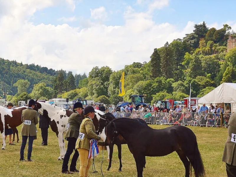 Dunster Show