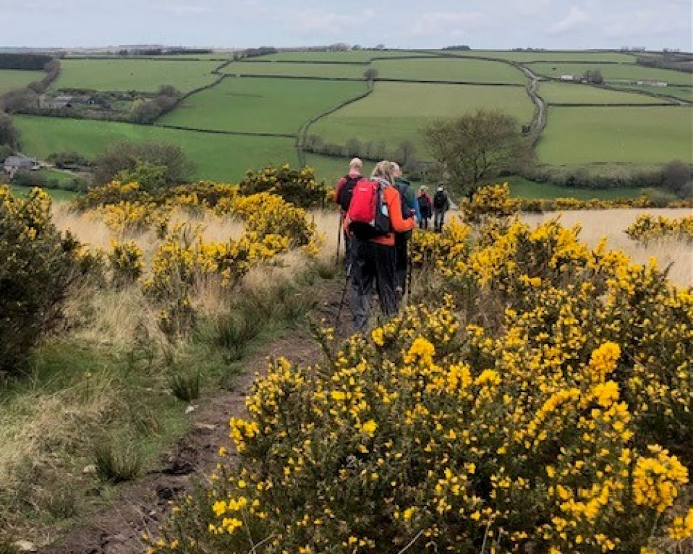 Hawkridge 3 - Anne Stamford