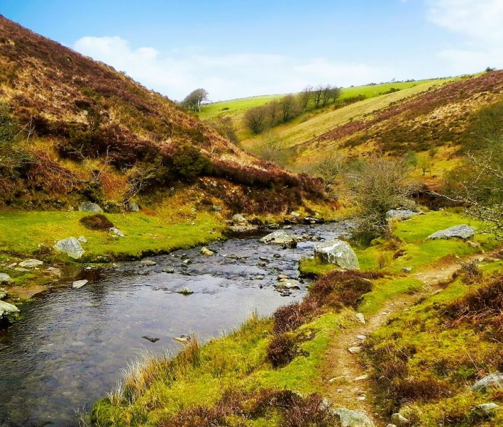 Rivers of the Archive