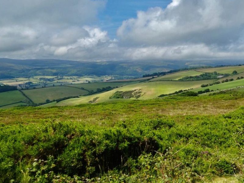 View across Exmoor 3 MT North Hill
