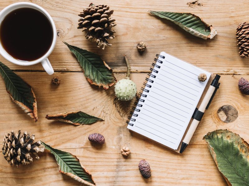 hot-beverage-notebook-green-leaves